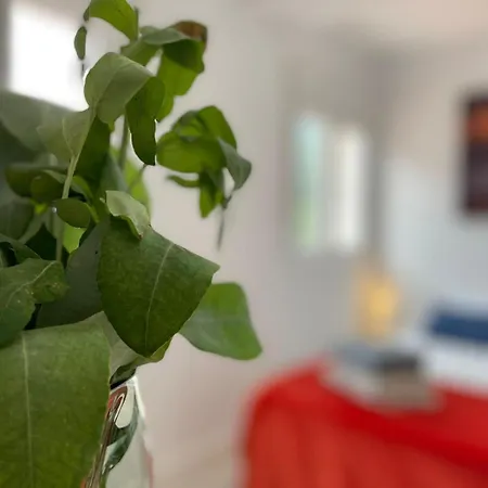 Felicidad Apartment
